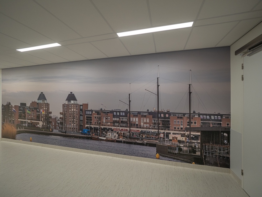 Anton2_Fotobehang FZPA316486