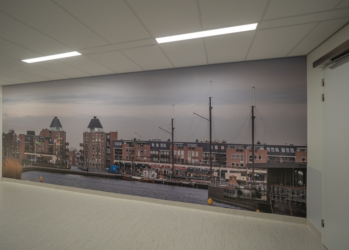 Anton_Fotobehang FZPA316486