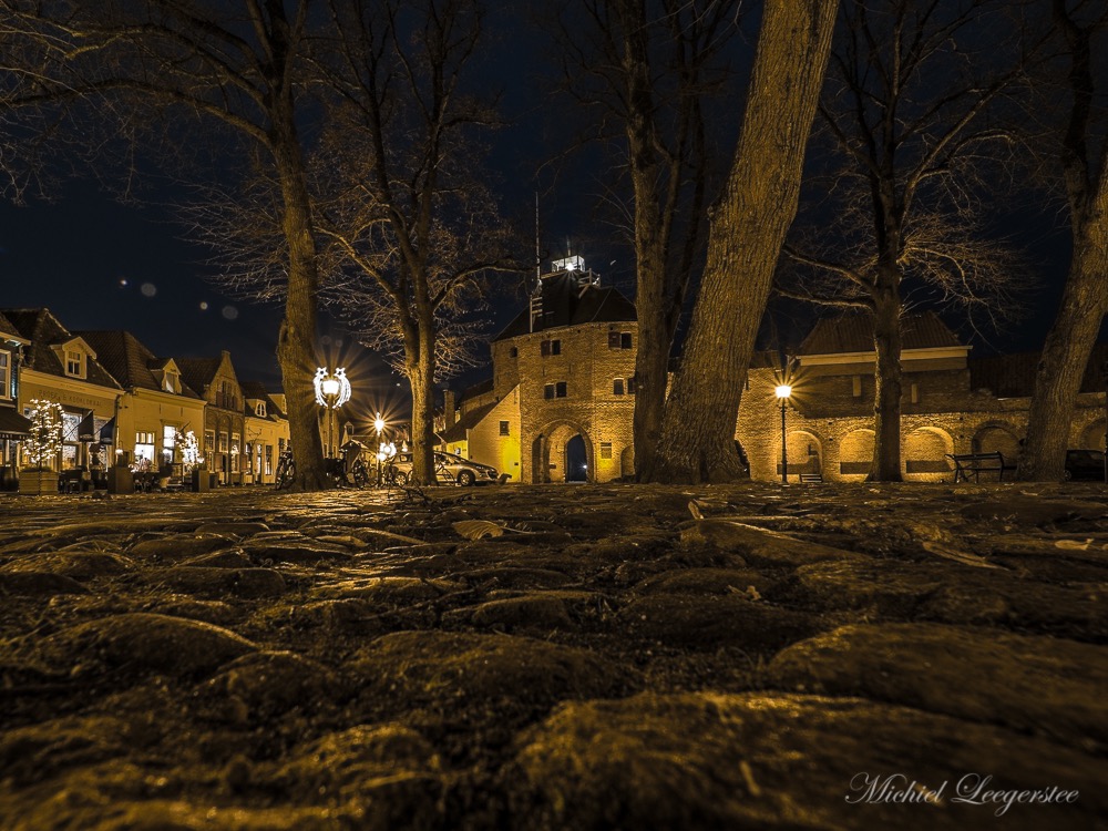 BF-Vischpoort-222362