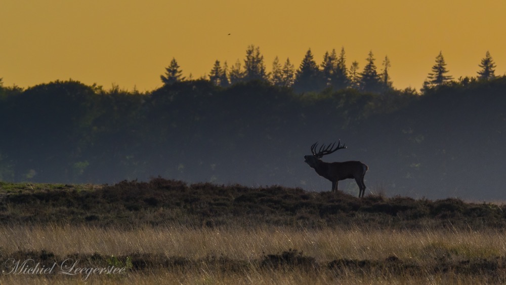 BF-wandeling-001049
