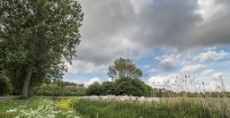 BF_ BEHANG-P5020019FZ-bewerkt4998 x 2599