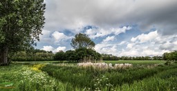 BF_ BEHANG-P5029998FZ-bewerkt5098 x 2651