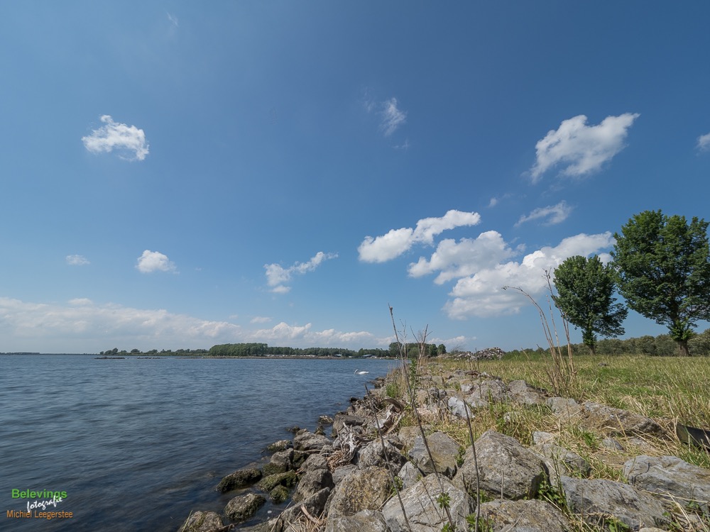BF_ BEHANG-P6142276_FZ10368 x 7776