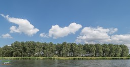 BF_ BEHANG-P6142282_FZ10368 x 7776
