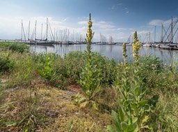 BF_ BEHANG-P6142313_FZ10368 x 7776