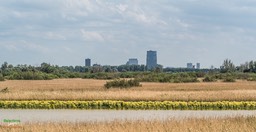 BF_ BEHANG-P6142319_FZ10368 x 7776