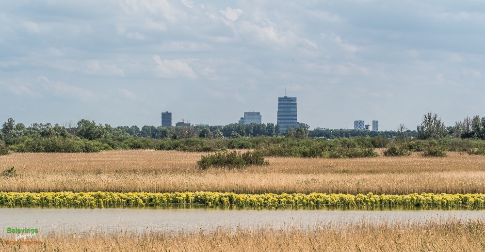 BF_ BEHANG-P6142319_FZ10368 x 7776