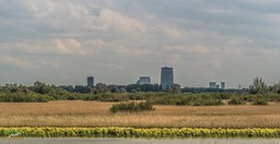 BF_ BEHANG-P6142320_FZ10368 x 7776