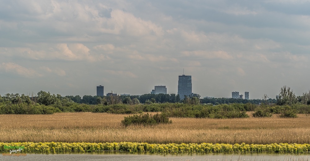 BF_ BEHANG-P6142320_FZ10368 x 7776