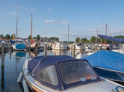 BF_ BEHANGFZ-6153253