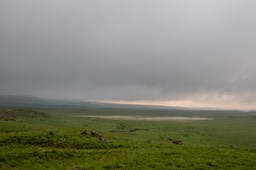 BF_Drakensberg-7368