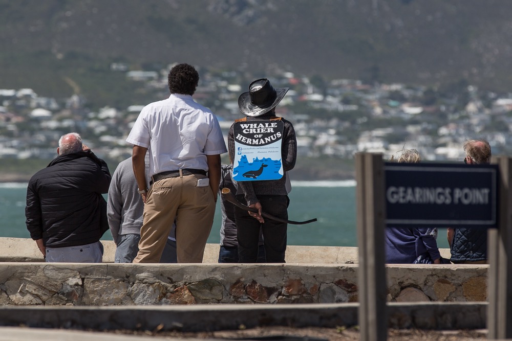 BF_Hermanus-9526