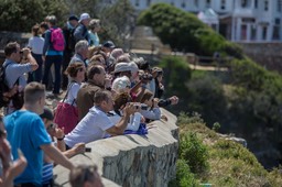 BF_Hermanus-9532