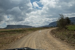 BF_pigploughna-7190