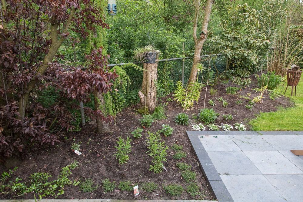 ErmeloTuin-3698