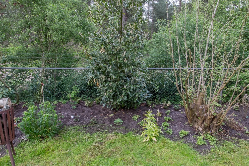 ErmeloTuin-3700