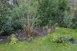 ErmeloTuin-3701