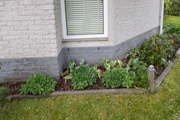 ErmeloTuin-3715