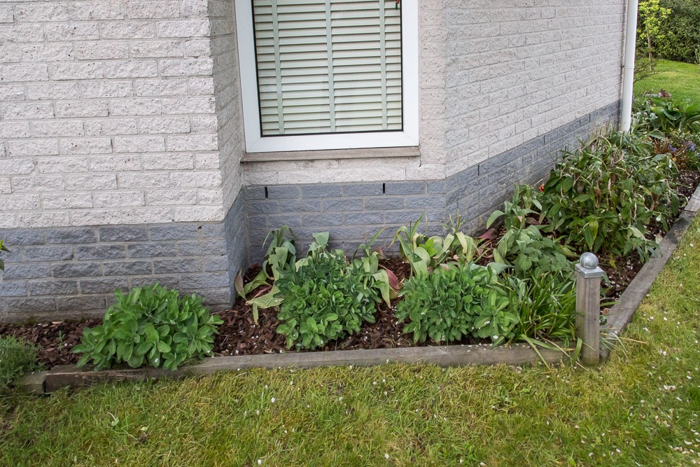 ErmeloTuin-3715