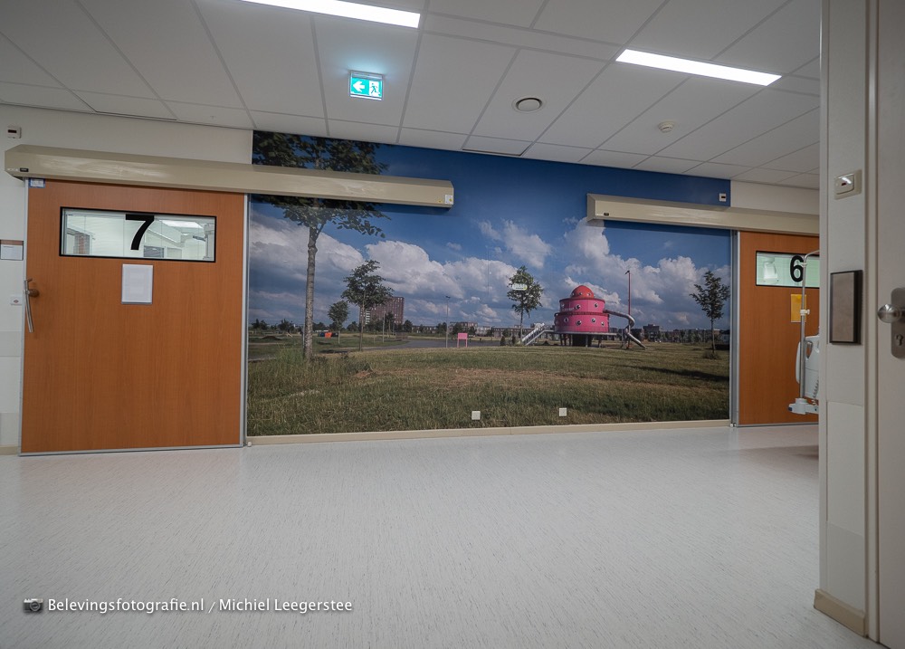 Fotobehang FZPA316449