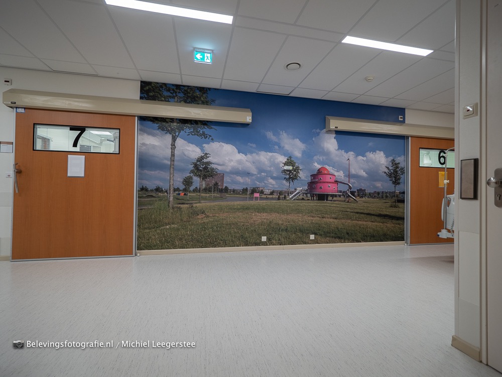 Fotobehang FZPA316449