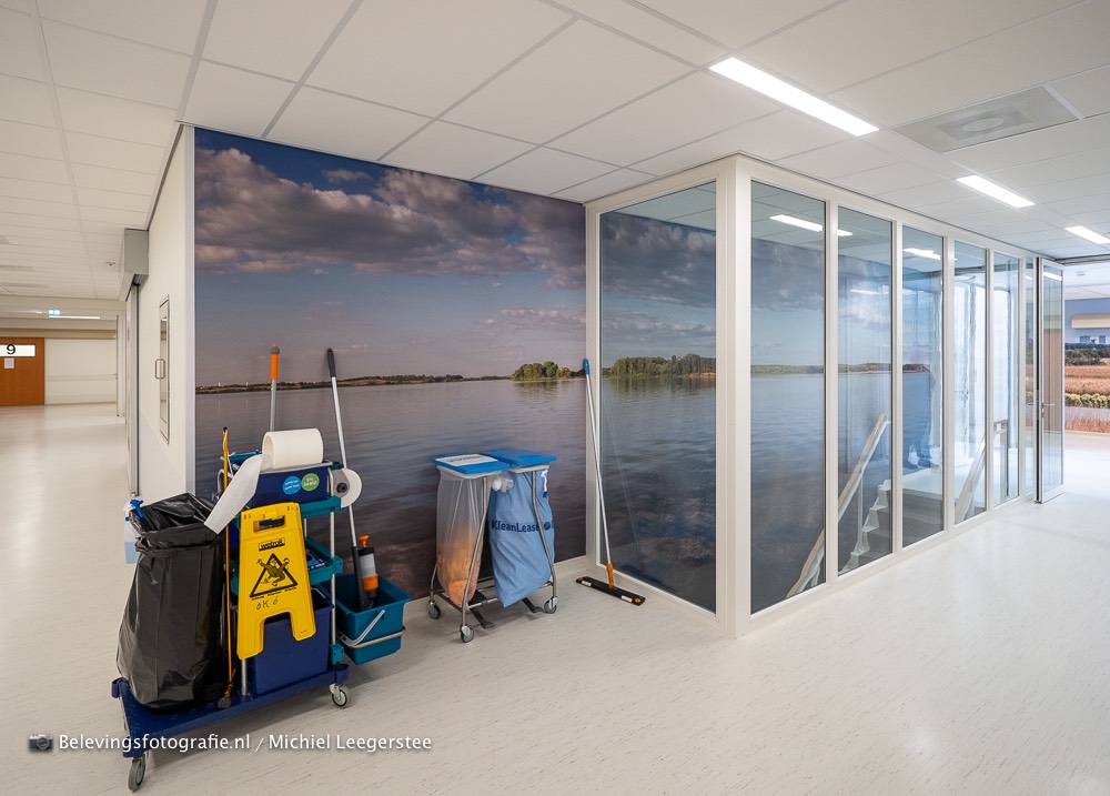 Fotobehang FZPA316512