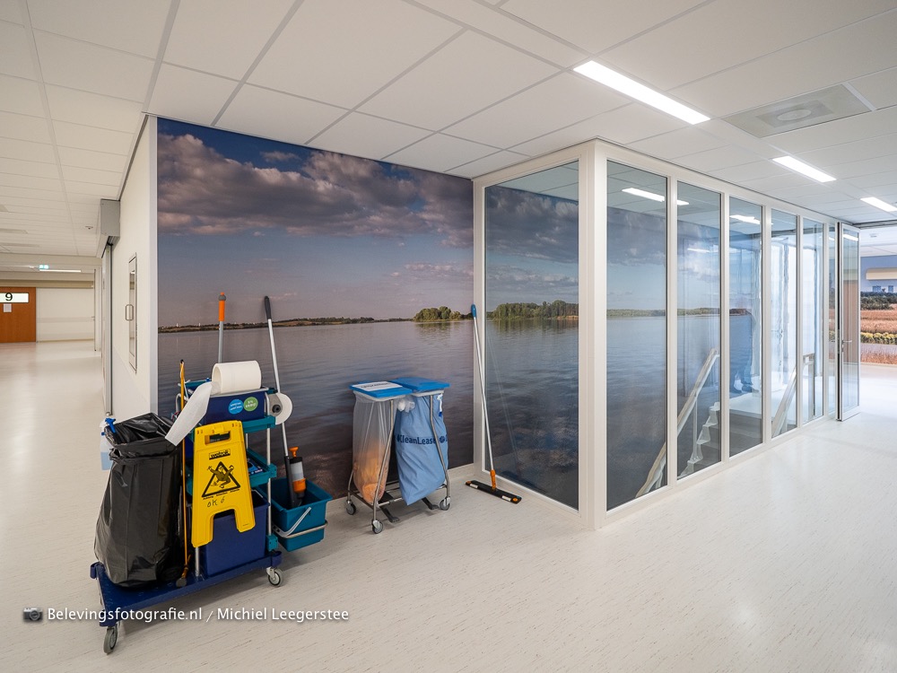Fotobehang FZPA316512