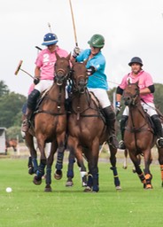 fototafel polo-0218 Edze J.B. kopie