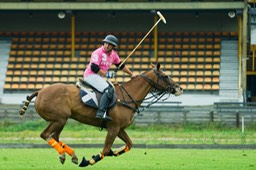 Gerard Hageman Polo-07