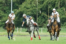 Gerard Hageman Polo-09