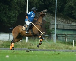 Gerard Hageman Polo-11