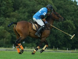 Gerard Hageman Polo-13