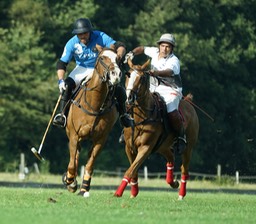 Gerard Hageman Polo-14