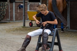Polo wallien-4 kopie