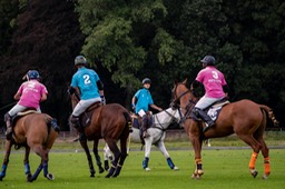 Polo wallien kopie