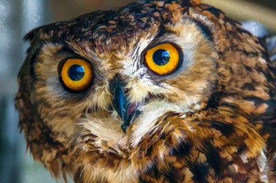 VCML-WADM-beemster-1128