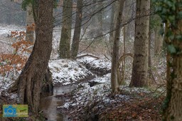 VCML_Staverden_beek-1601