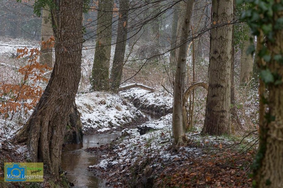 VCML_Staverden_beek-1601
