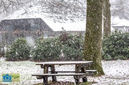 VCML_Staverden_Boerderij-1698