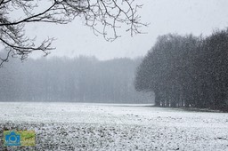 VCML_Staverden_Landschap-1646