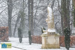 VCML_Staverden_WittePauwen-1829