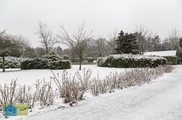VCML_WitteBurchtenSneeuw-1532