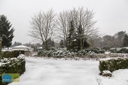 VCML_WitteBurchtenSneeuw-1530