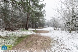 VCML_WitteBurchtenSneeuw-1503