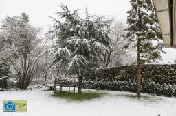 VCML_WitteBurchtenSneeuw-1468
