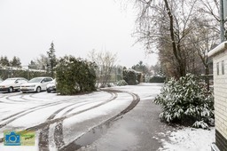 VCML_WitteBurchtenSneeuw-1548