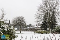 VCML_WitteBurchtenSneeuw-1558
