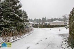 VCML_WitteBurchtenSneeuw-1556
