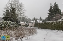 VCML_WitteBurchtenSneeuw-1550