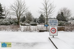 VCML_WitteBurchtenSneeuw-1539